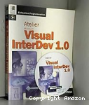 Atelier Visual InterDev 1.0 vignette