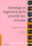Stratégie et ingénierie de la sécurité des réseaux vignette
